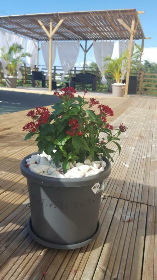 La Villa Soleil :) ساينت آن المظهر الخارجي الصورة